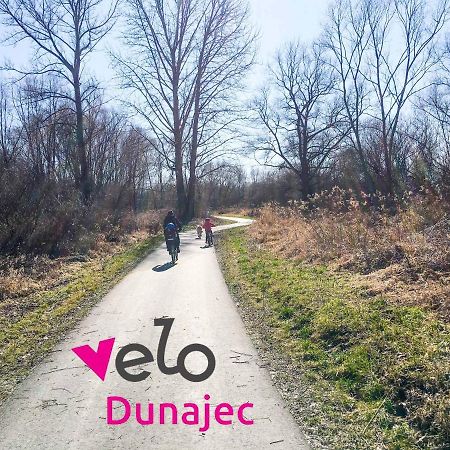 Domek W Dabrowie Wieloglowy Kültér fotó