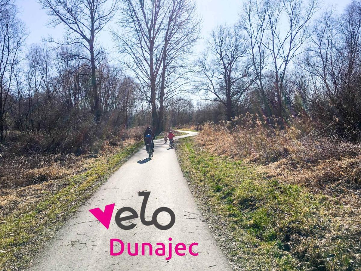 Domek W Dabrowie Wieloglowy Kültér fotó